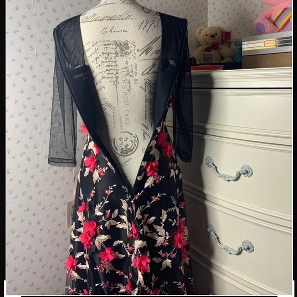 Alex Marie Floral Appliqué Maxi Dress - Picture 6 of 15